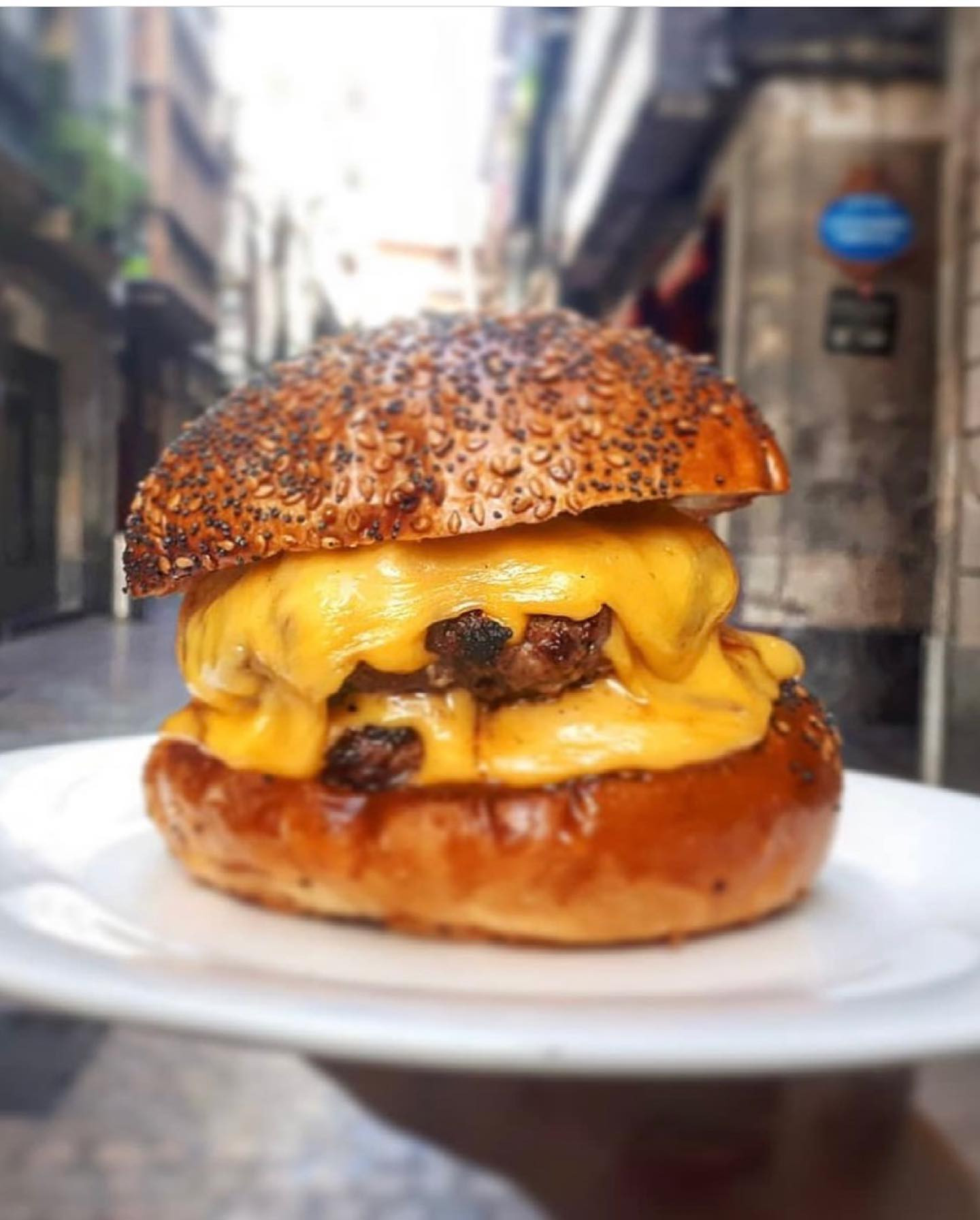 Tipula Burger