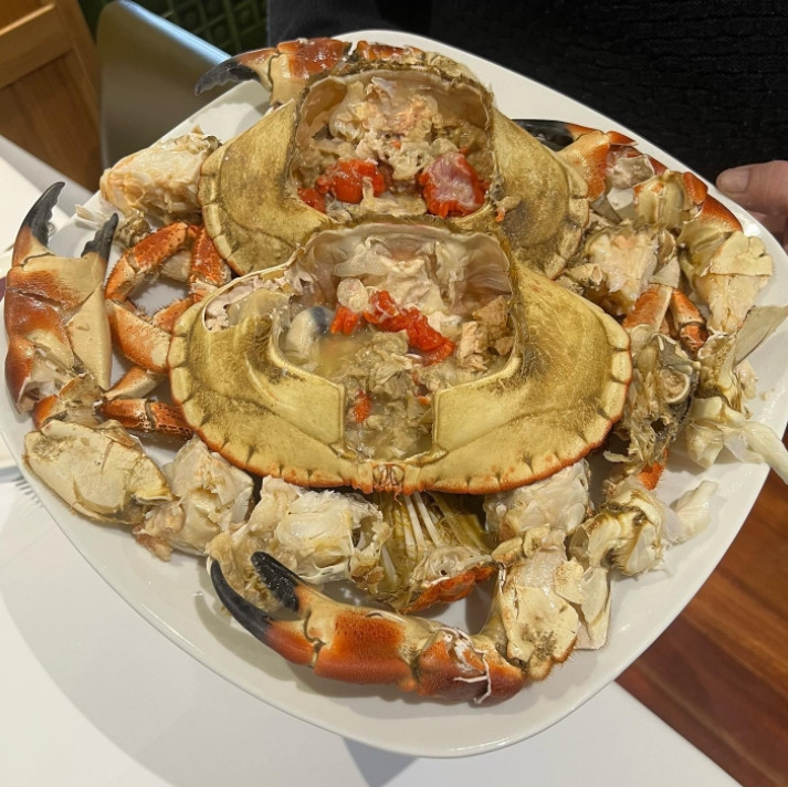 Bocatti